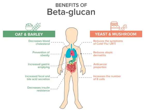Clinical benefits of β-glucan supplementation in children: a review |  Discover Food