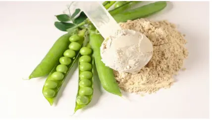 Application of Pea Protein Application of Pea Protein