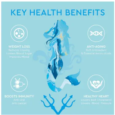 Benefits – Mermaid&Machine