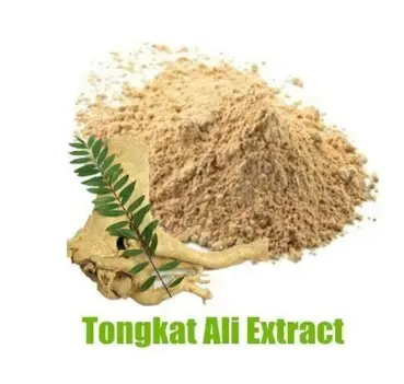 Tongkat Ali Root Extract Powder at Rs 4500/kg | Tongkat Ali Powder in Gandhinagar | ID: 24258999497