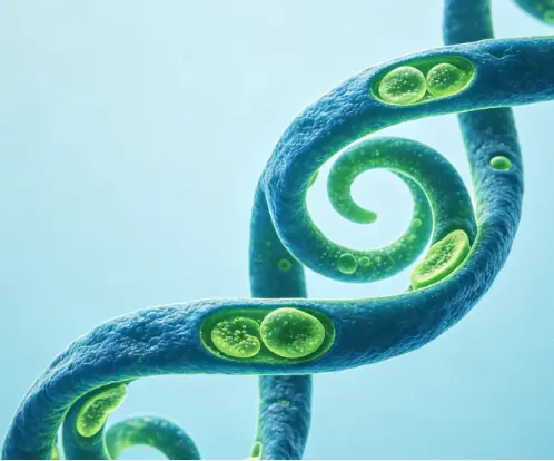 Spirulina bilder – Bläddra bland 33,358 stockfoton, vektorer och videor |  Adobe Stock