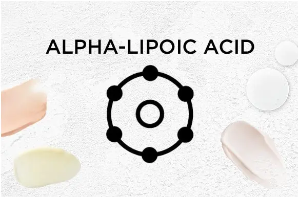 Alpha-Lipoic Acid | Perricone MD Alpha-Lipoic Acid | Perricone MD