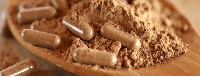 Guarana: Benefits, Uses, Dosage, Side-Effects | Holland & Barrett Guarana: Benefits, Uses, Dosage, Side-Effects | Holland & Barrett