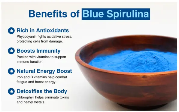 Amazon.com: Naturejam Blue Spirulina Powder 8 Ounce Bulk-Premium Culinary Grade for Smoothies. : Health & Household Amazon.com: Naturejam Blue Spirulina Powder 8 Ounce Bulk-Premium Culinary Grade for Smoothies. : Health & Household