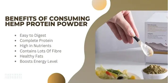 Know The Benefits of Consuming Hemp Protein Powder–The Trost