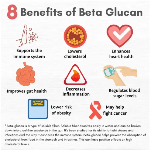 What are Beta Glucans? Health Benefits, Definition, & More: Gaia🐗 Experimente a conveniência e segurança do jogo do bicho porco. What are Beta Glucans? Health Benefits, Definition, & More: Gaia🐗 Experimente a conveniência e segurança do jogo do bicho porco.