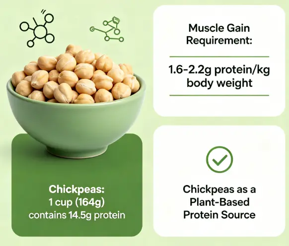 Do Chickpeas Have Protein For Muscle Gain? -ETprotein