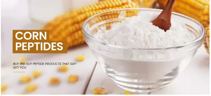 Haoxiang Supply Organic Corn Protein Peptide Meal Cornbean Protein Fiber Isolate Concentrate Powder High Quality Small Molecular Active Corn Collagen Peptide - Corn Peptides, Collagen Powder | Made-in-China.com