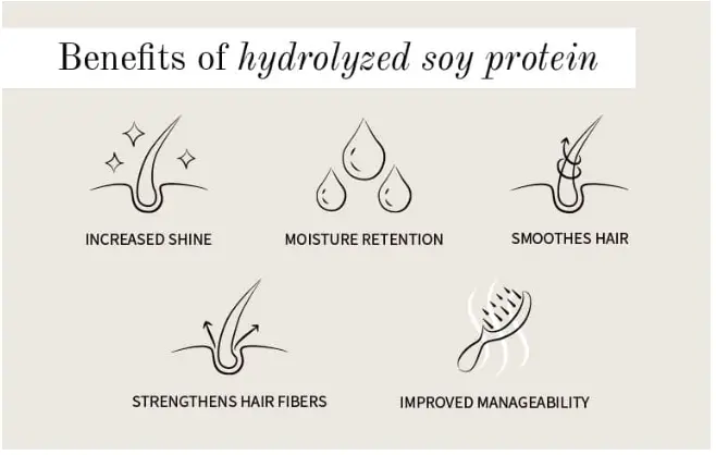 Hair Care Wonders of Soy Protein | Rossano Ferretti US Hair Care Wonders of Soy Protein | Rossano Ferretti US