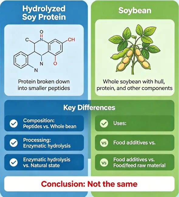 Is Hydrolyzed Soy Protein The Same As Soybean? -ETprotein Is Hydrolyzed Soy Protein The Same As Soybean? -ETprotein