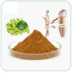 Versatile green coffee bean extract 50% for use in Various Products -  Alibaba.com
