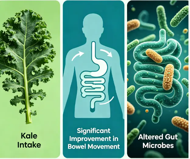 Kale consumption significantly improves bowel movement and alters certain gut microbes