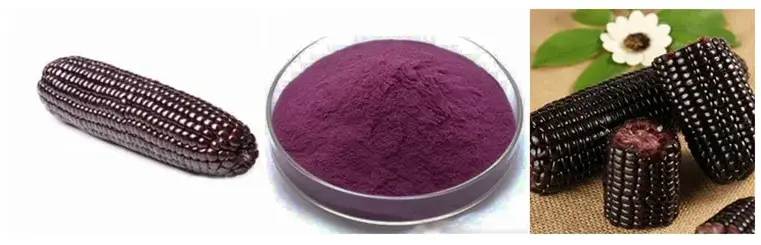 Chinese Supplier EU Organic Anthocyanin Purple Corn Extract Powder - purple corn extract, purple corn extract powder | Made-in-China.com Chinese Supplier EU Organic Anthocyanin Purple Corn Extract Powder - purple corn extract, purple corn extract powder | Made-in-China.com
