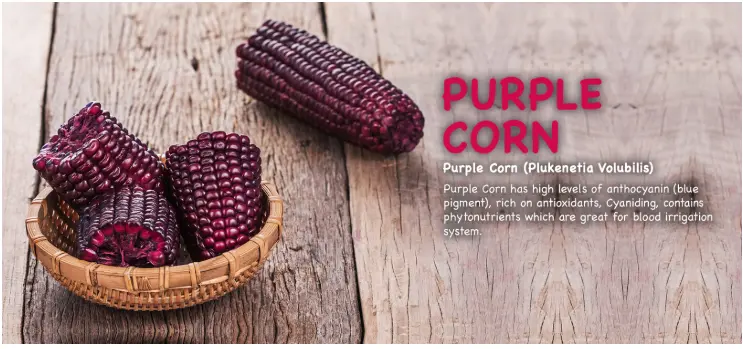 Purple Corn - Css Naturals - Peruvian Natural and Organic Foods. Purple Corn - Css Naturals - Peruvian Natural and Organic Foods.