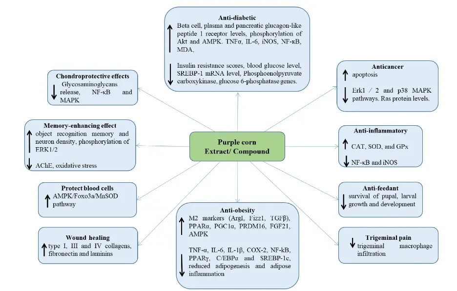 blog-1-1 blog-1-1