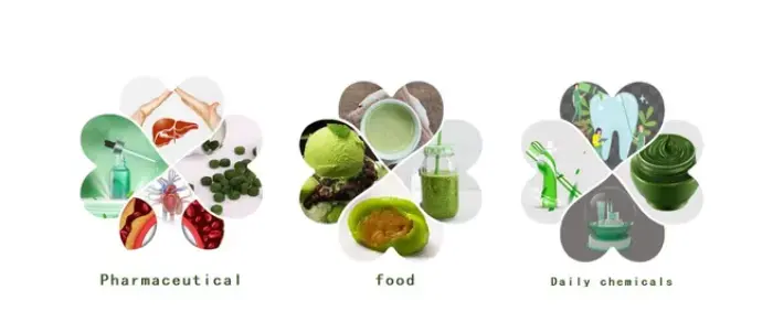 High Quality Food Colorant Copper Chlorophyll Sodium Salt Powder - Food Additive, Plant Extract | Made-in-China.com
