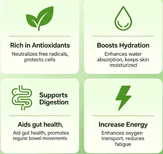 Benefits of Chlorophyll Water | Primo Water Benefits of Chlorophyll Water | Primo Water