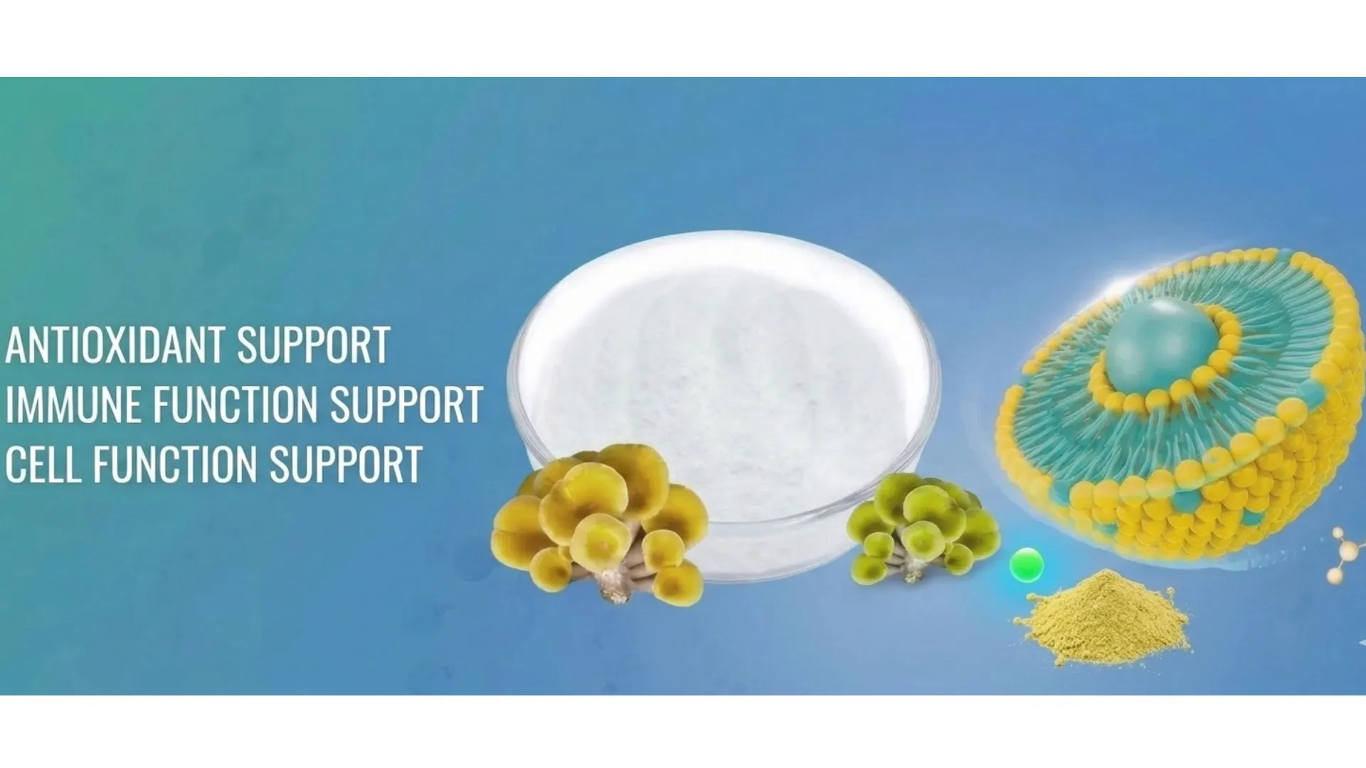 product-1-1 product-1-1