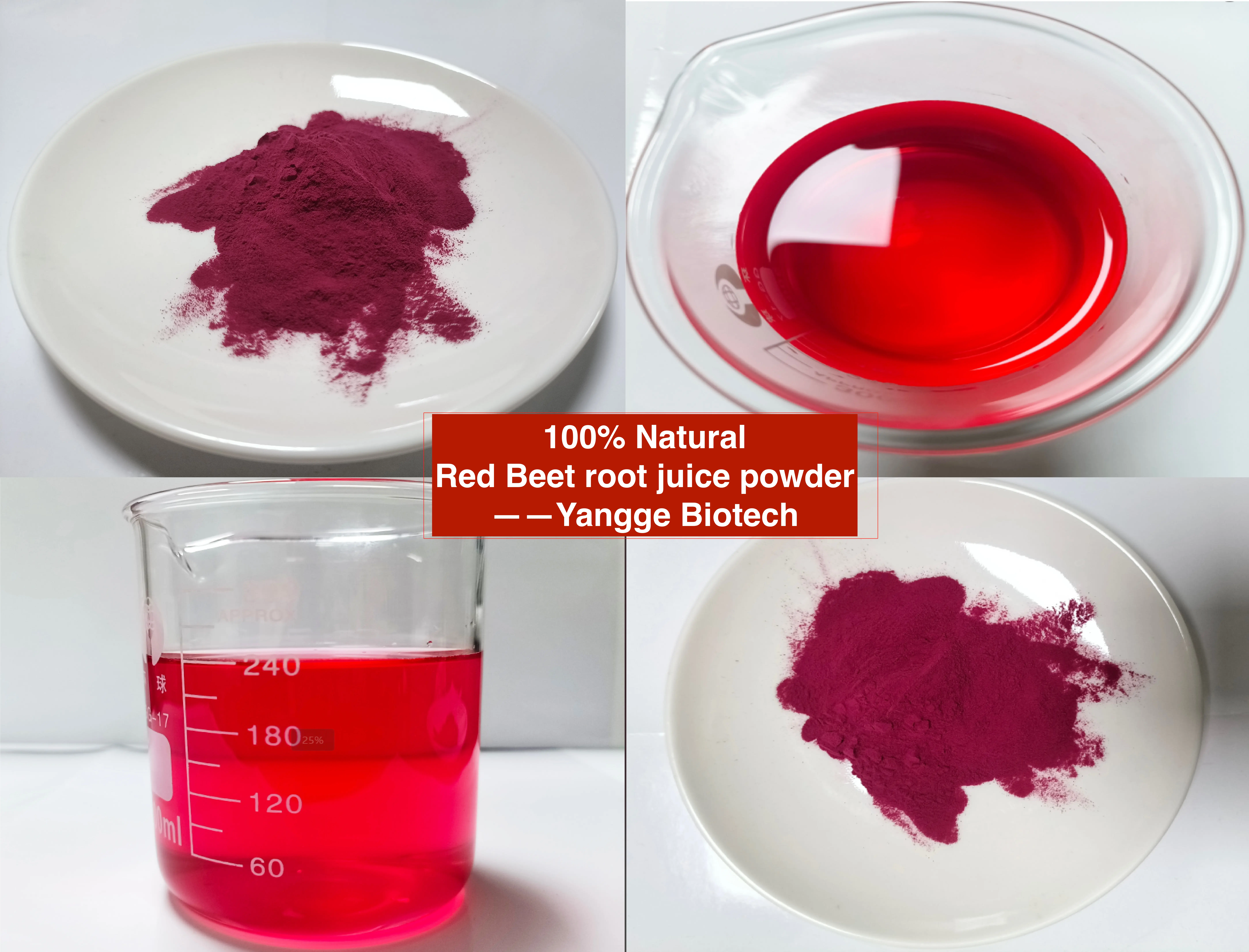 beetroot powder supplier