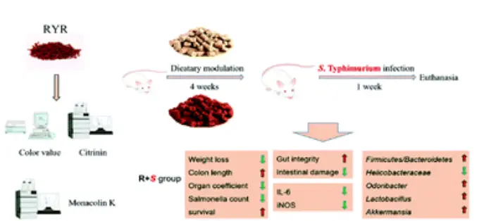 Graphical abstract: Protective effect and mechanism of Monascus-fermented red yeast rice against colitis caused by Salmonella enterica serotype Typhimurium ATCC 14028 Graphical abstract: Protective effect and mechanism of Monascus-fermented red yeast rice against colitis caused by Salmonella enterica serotype Typhimurium ATCC 14028