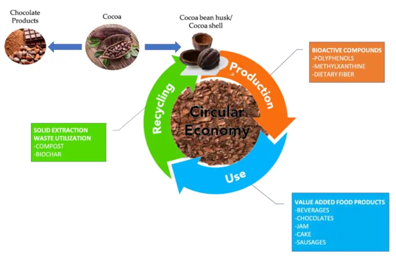 Bioactive Compounds from Cocoa Husk: Extraction, Analysis and Applications in Food Production Chain