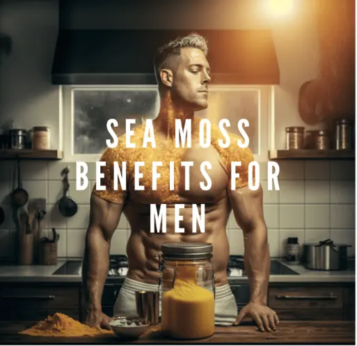 Sea Moss Benefits for Men: Unlocking the Power of Nature's Superfood –  Millie's Moss