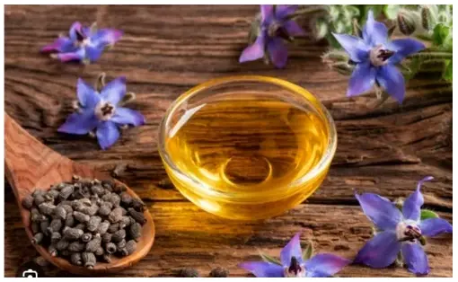 Pure Borage Oil at best price in New Delhi by Kaveri Bio Technology | ID:  2852956775388