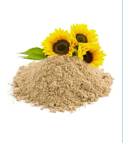 Sunflower Lecithin Powder, Treatment: Apr at Rs 4500/kg in Ahmedabad | ID:  20377521591