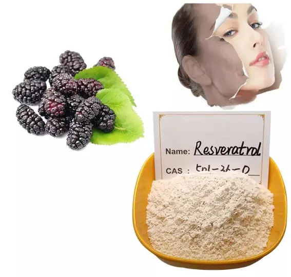 Resveratrol Powder Pure Plan Extract Supplement Tran-Resveratrol Powder 98% Resveratrol for Beauty - China Resveratrol, Proanthocyanidine | Made-in-China.com Resveratrol Powder Pure Plan Extract Supplement Tran-Resveratrol Powder 98% Resveratrol for Beauty - China Resveratrol, Proanthocyanidine | Made-in-China.com