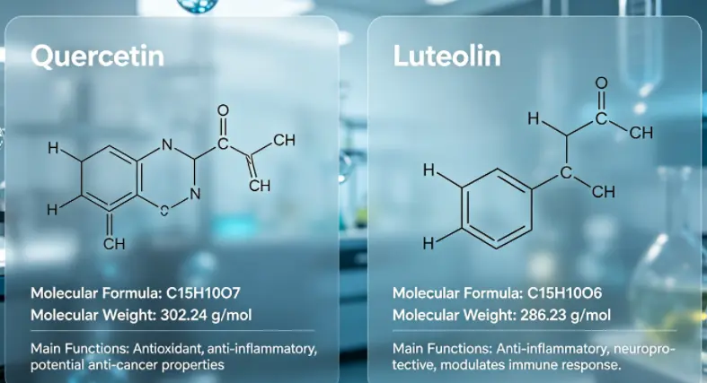 Chemical structures of quercetin and luteolin flavonoids. | Download Scientific Diagram Chemical structures of quercetin and luteolin flavonoids. | Download Scientific Diagram