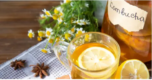 Kombucha içmək üçün ən yaxşı vaxt | Maksimum fayda üçün Kombuça nə vaxt içməli - Sağlamlıq üçün mədəniyyətlər Kombucha içmək üçün ən yaxşı vaxt | Maksimum fayda üçün Kombuça nə vaxt içməli - Sağlamlıq üçün mədəniyyətlər