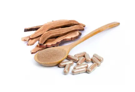 5,500+ Mushroom Powder Stock Photos, Pictures & Royalty-Free Images -  iStock | Reishi mushroom powder