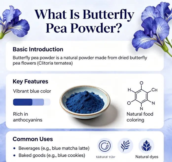 What Is Butterfly Pea Powder? What Is Butterfly Pea Powder?