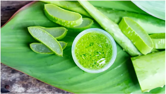 Aloe Vera: 10 Amazing Benefits That Will Boost Your Health