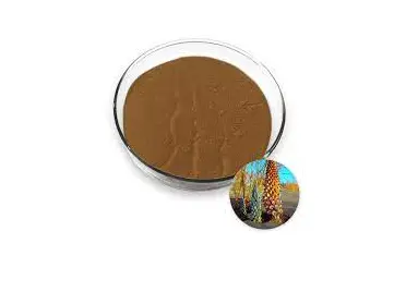 100% Pure Cistanche Tubulosa Extract Cistanche| Alibaba.com