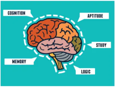 Optimum Health & Kolya | Get a Back-to-School Brain with Micro PQQ