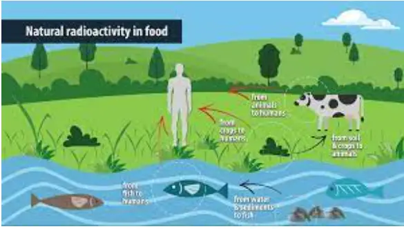 Natural Radioactivity in Food: Experts Discuss Harmonizing International Standards | IAEA Natural Radioactivity in Food: Experts Discuss Harmonizing International Standards | IAEA