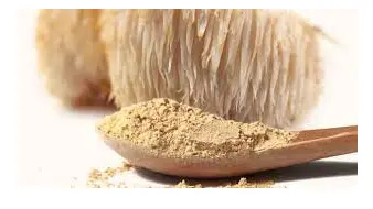 Organic Ground Lion's mane Mushroom Powder Wholesale - QIN SHAN TANG