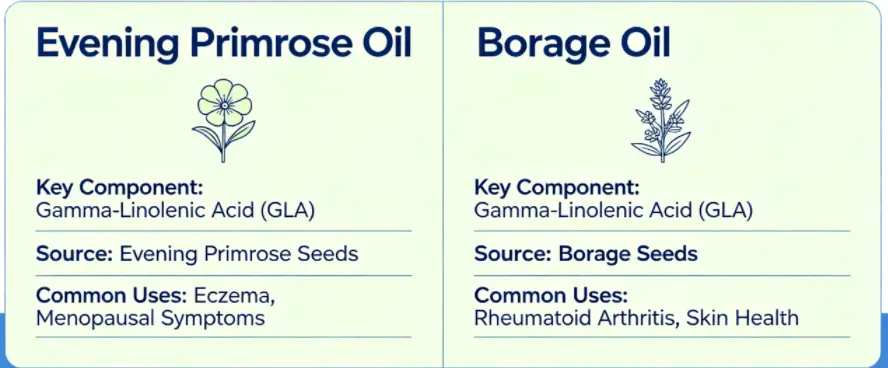 are-evening-primrose-oil-and-borage-the-same are-evening-primrose-oil-and-borage-the-same