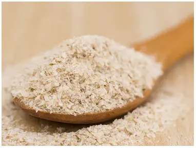 What is Psyllium Husk? | Lo-Dough Ingredients Explained
