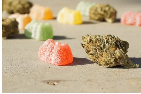 Eight surprising benefits of sea moss gummies - Talented Ladies Club