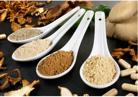 5 Ways to consume Lion's Mane Mushroom Powder | Natures Root 5 Ways to consume Lion's Mane Mushroom Powder | Natures Root