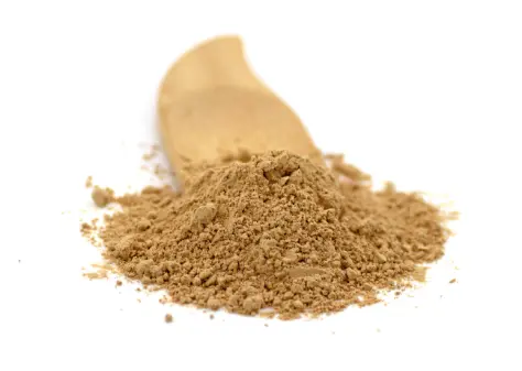 Organic Lions Mane Mushroom Powder 100g (Sussex Wholefoods) | Healthy  Supplies