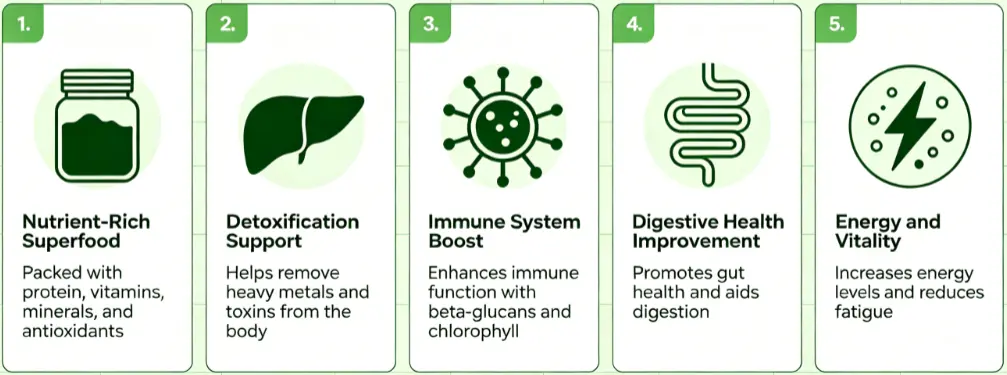 The Incredible Benefits of Chlorella: Nature's Healthiest Food The Incredible Benefits of Chlorella: Nature's Healthiest Food