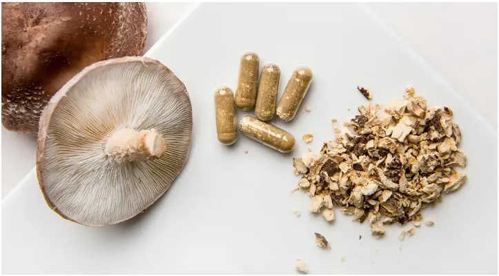 Mushroom Stacking Trend: Benefits of Medicinal Mushrooms | Healthnews Mushroom Stacking Trend: Benefits of Medicinal Mushrooms | Healthnews