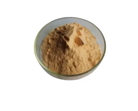 Yaxşı Qiymət Təbii Dərhal Kombucha Çay Tozu - 2 il Raf Ömrü Yaxşı Qiymət Təbii Dərhal Kombucha Çay Tozu - 2 il Raf Ömrü