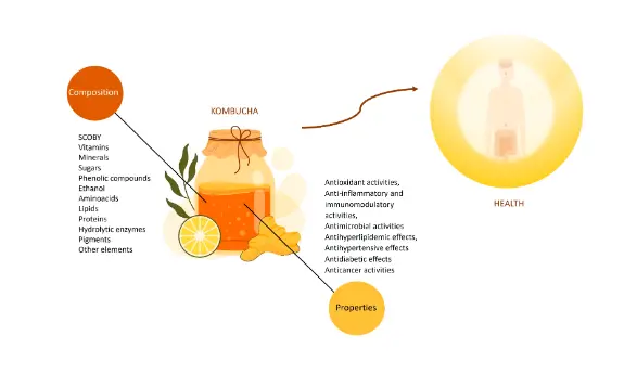 Kombucha: Sağlamlıq və Ruh Sağlamlığı üçün Çətinliklər Kombucha: Sağlamlıq və Ruh Sağlamlığı üçün Çətinliklər