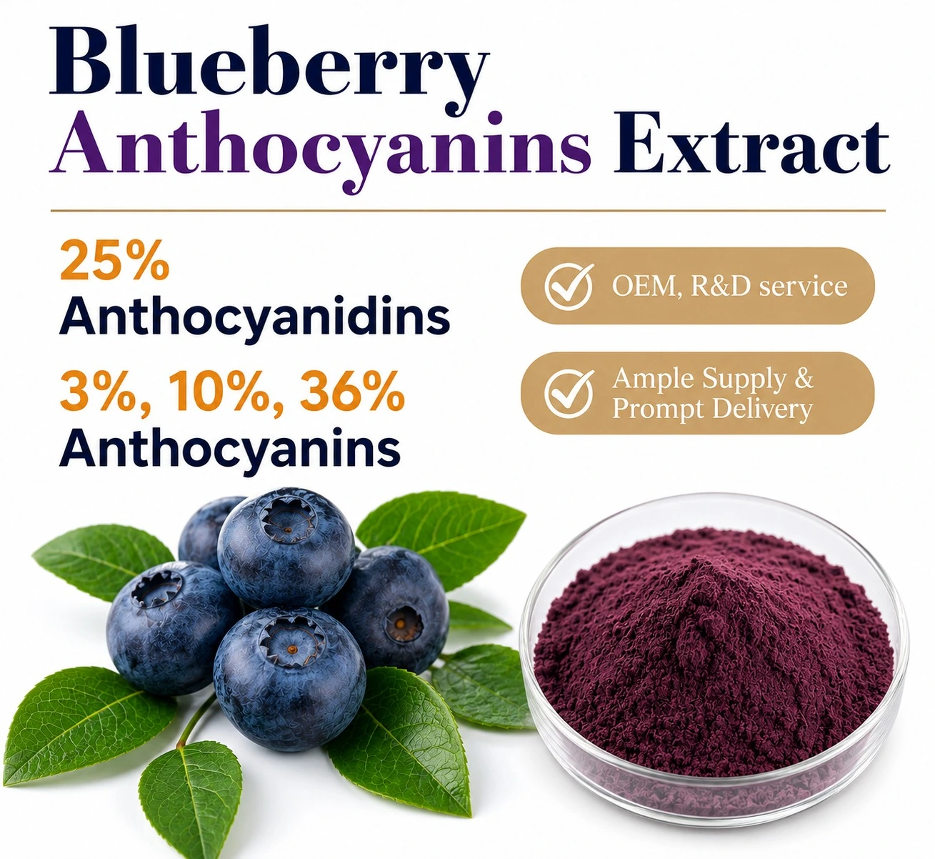 Blueberry Extract Anthocyanins supplier
