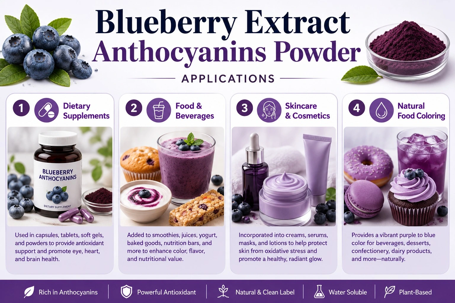 Blueberry Extract Anthocyanins applications -YANGGE BIOTECH Blueberry Extract Anthocyanins applications -YANGGE BIOTECH