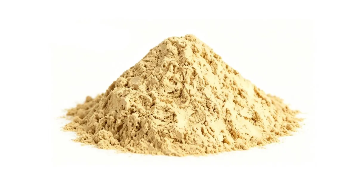 LION MANE POWDER LION MANE POWDER